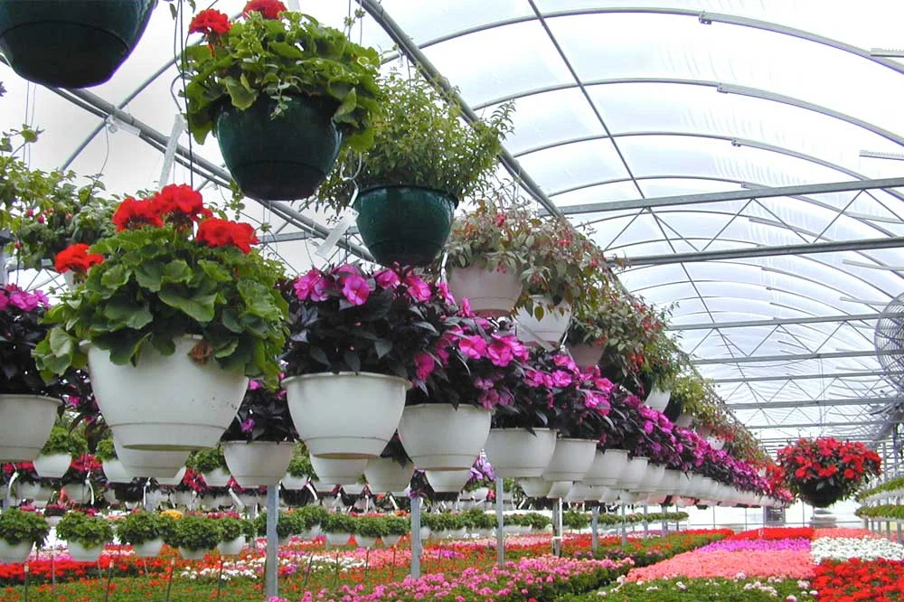 Floriculture
