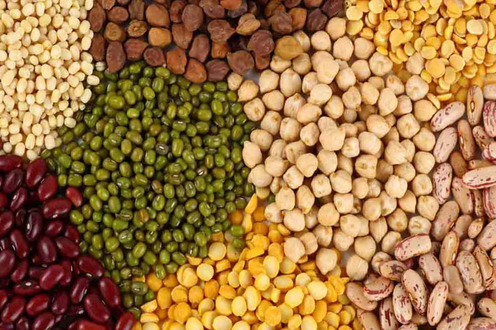 Agro Products