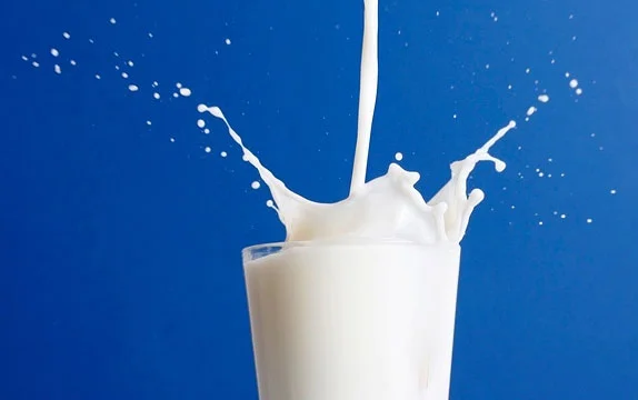 Ice Cream & Milk Products
