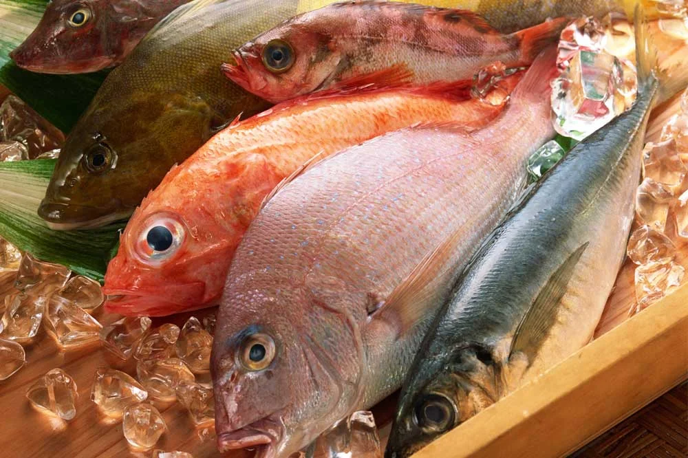 Sea Food & Fisheries